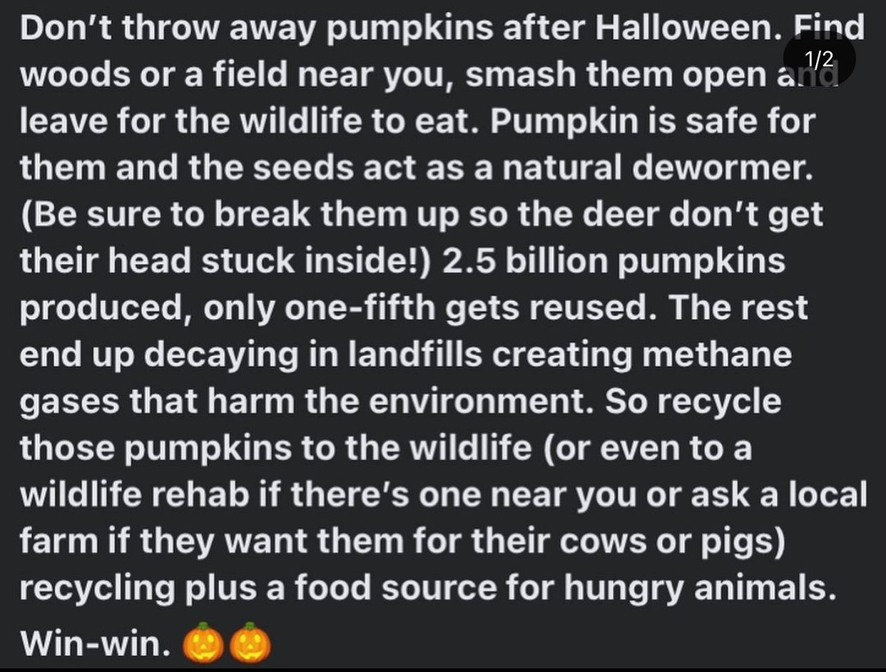 Name:  Pumpkin Recycle.jpg
Views: 1493
Size:  234.6 KB