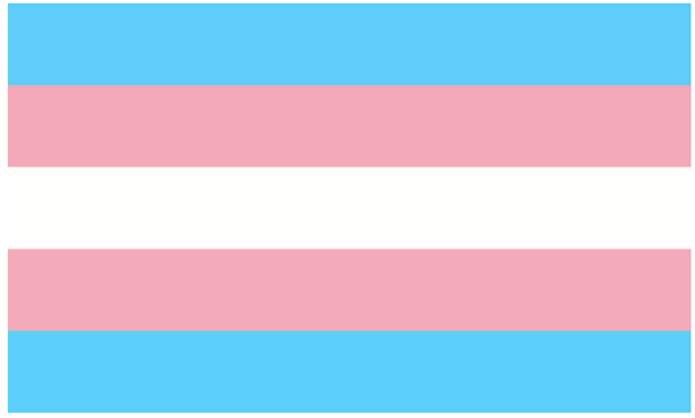 Name:  TheTransgenderFlag.png
Views: 5556
Size:  3.8 KB