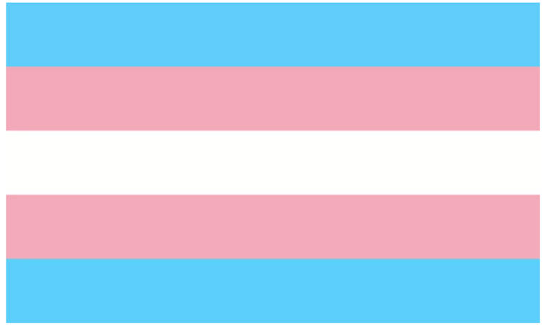 Name:  TheTransgenderFlag.png
Views: 3029
Size:  3.8 KB