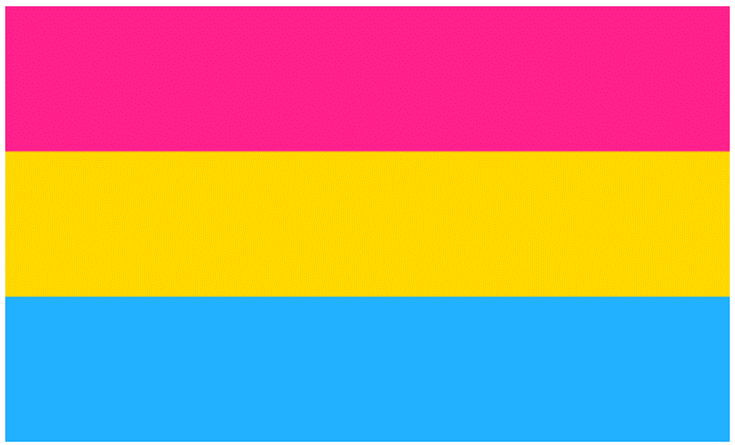 Name:  ThePansexualFlag.png
Views: 5464
Size:  29.0 KB