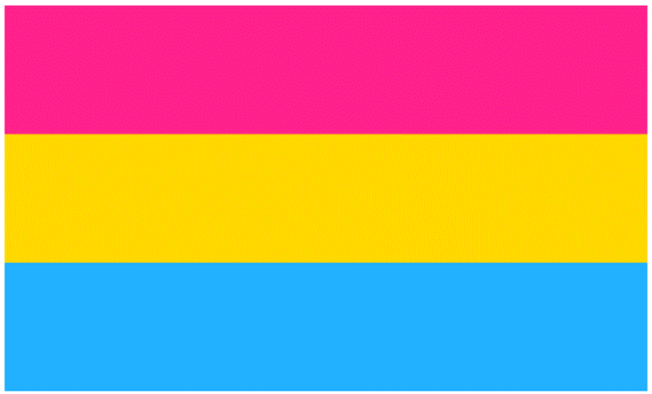 Name:  ThePansexualFlag.png
Views: 2996
Size:  29.0 KB