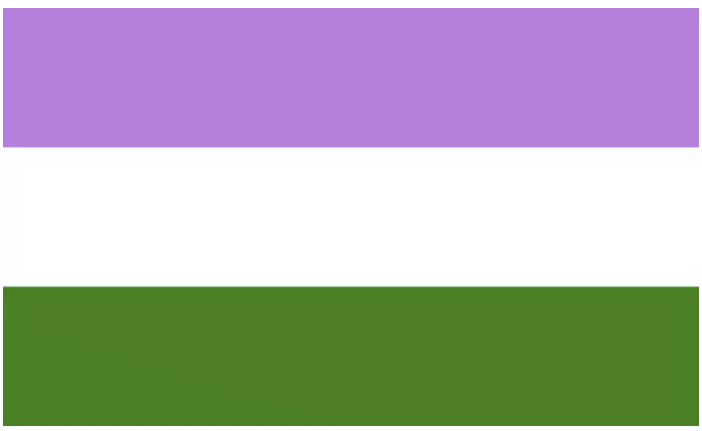 Name:  TheGenderQueerPrideFlag.png
Views: 5494
Size:  3.5 KB
